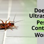 Does Ultrasonic Pest Control Work