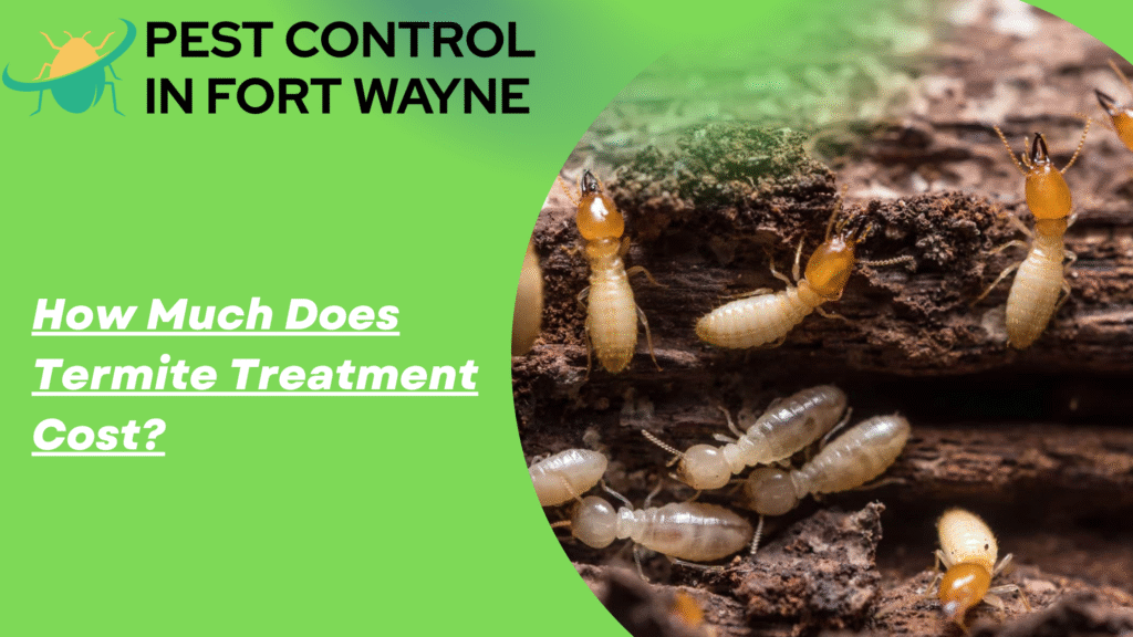 How Much Does Termite Treatment Cost