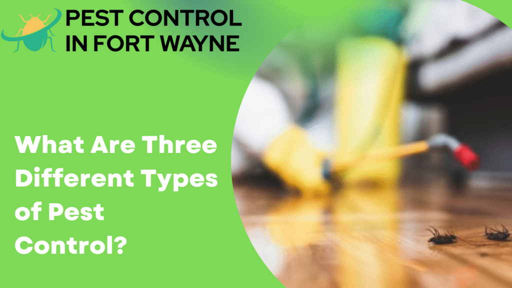 What Are Three Different Types of Pest Control