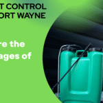 What Are the Advantages of Pests