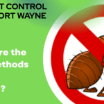 What Are the Four Methods of Pest Control
