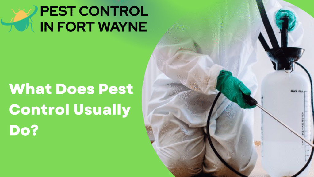 What Does Pest Control Usually Do
