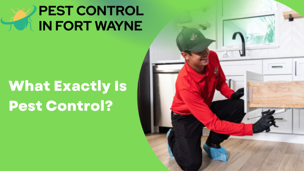 What Exactly Is Pest Control
