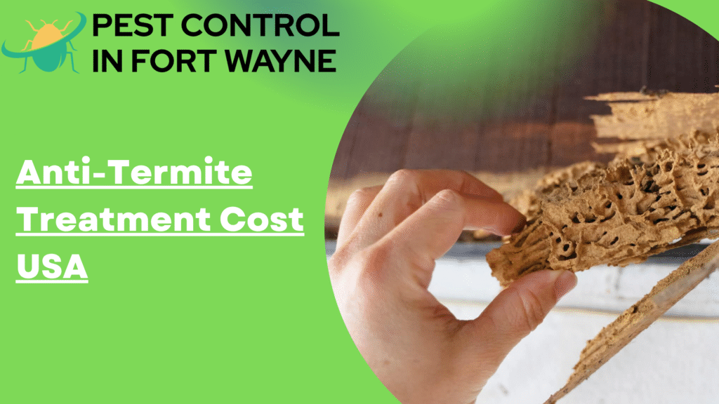 Anti-Termite Treatment Cost USA