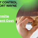 Anti-Termite Treatment Cost USA