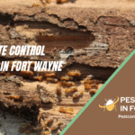 Best Termite Control Companies in Fort Wayne