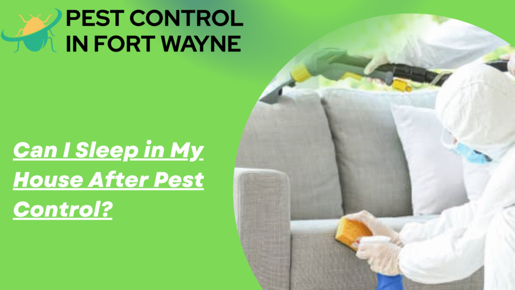Can-I-Sleep-in-My-House-After-Pest-Control.png
