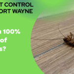 Can You 100% Get Rid of Roaches