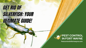 Get Rid of Silverfish Your Ultimate Guide!