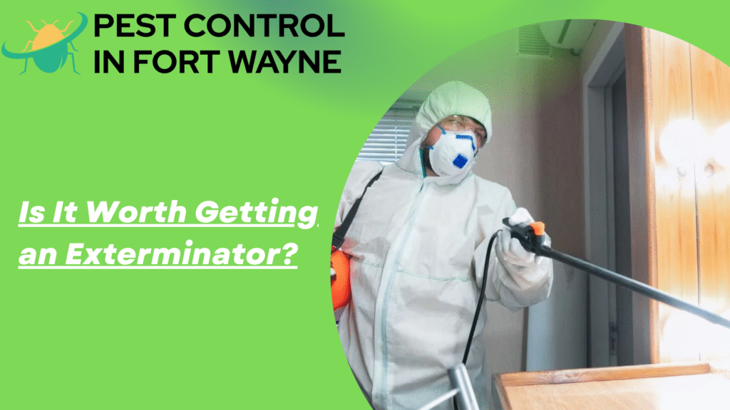 Is It Worth Getting an Exterminator