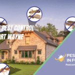 Residential Pest Control Services