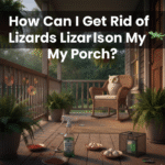 How Can I Get Rid of Lizards on My Porch