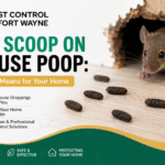 Scoop on Mouse Poop